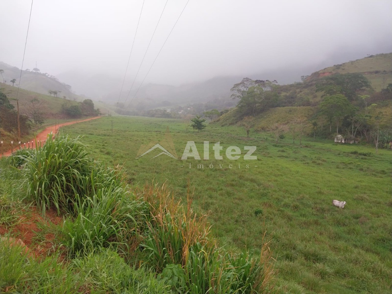 Fazenda, 226 hectares - Foto 6