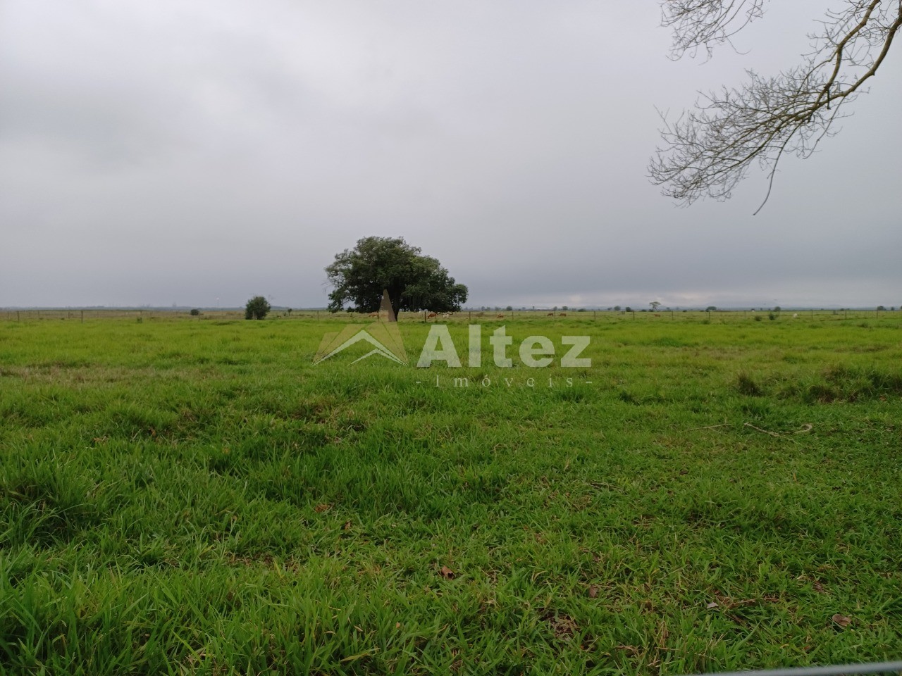 Fazenda, 847 hectares - Foto 1