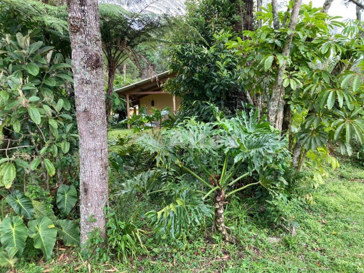 Sítio, 6 quartos, 54 hectares - Foto 18