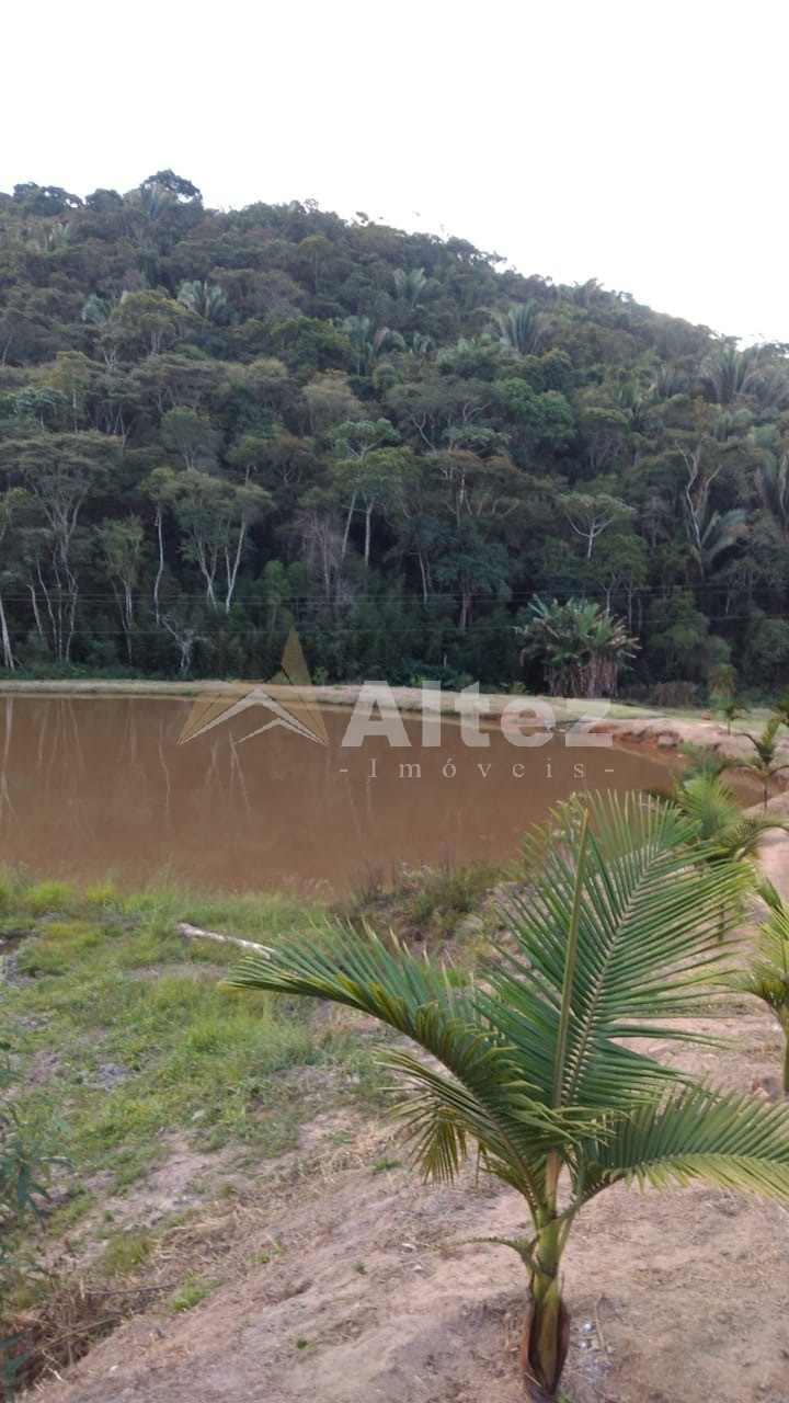 Sítio, 3 quartos, 25 hectares - Foto 3