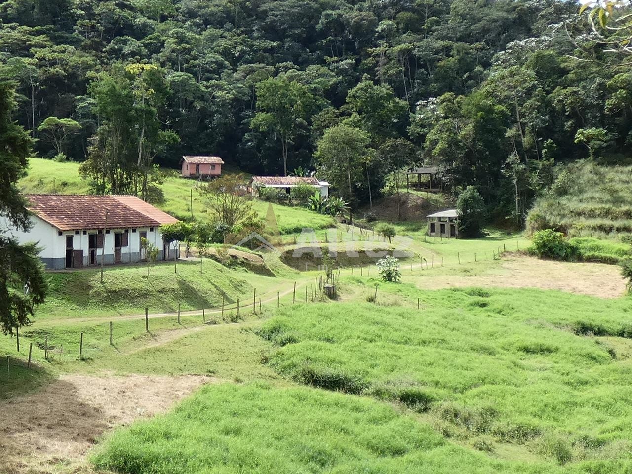 Sítio, 4 quartos, 28 hectares - Foto 85