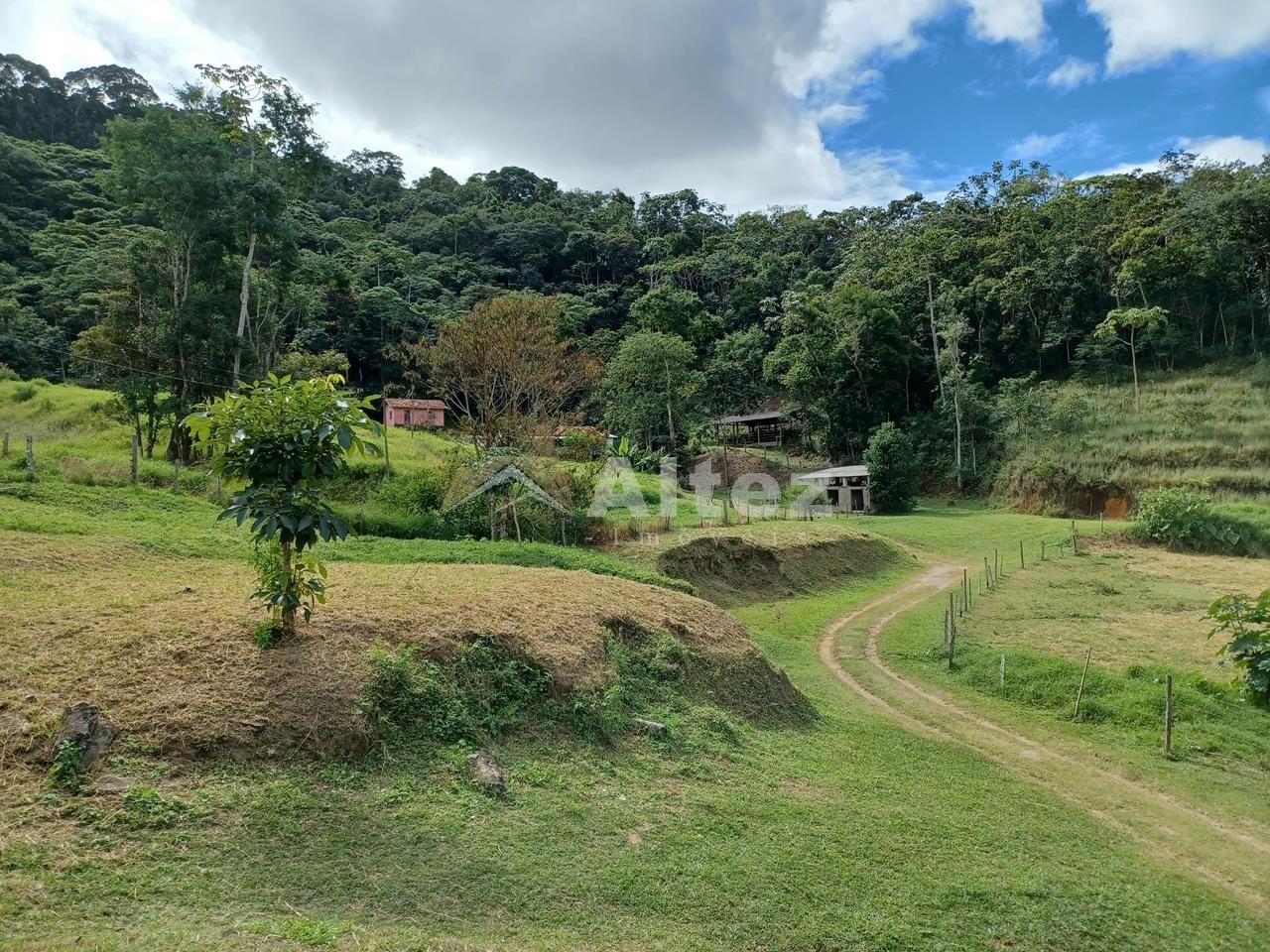 Sítio, 4 quartos, 28 hectares - Foto 16
