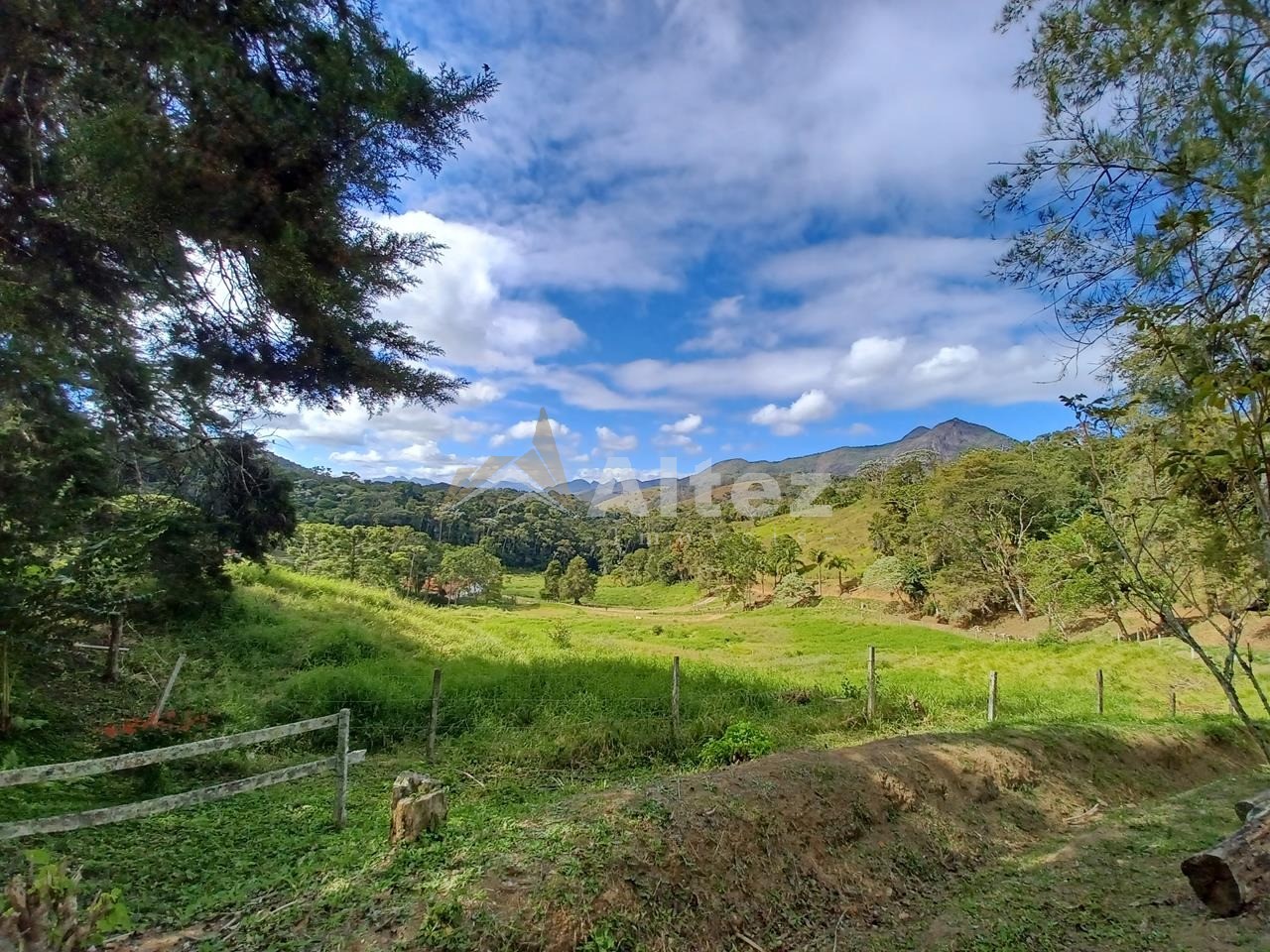 Sítio, 4 quartos, 28 hectares - Foto 14