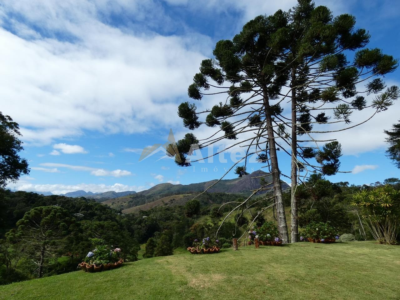 Sítio, 4 quartos, 28 hectares - Foto 61