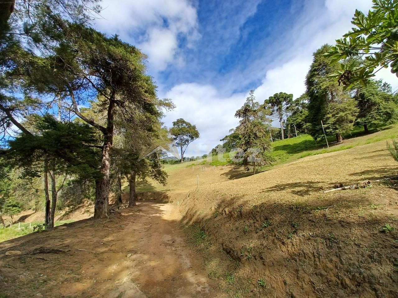 Sítio, 4 quartos, 28 hectares - Foto 13