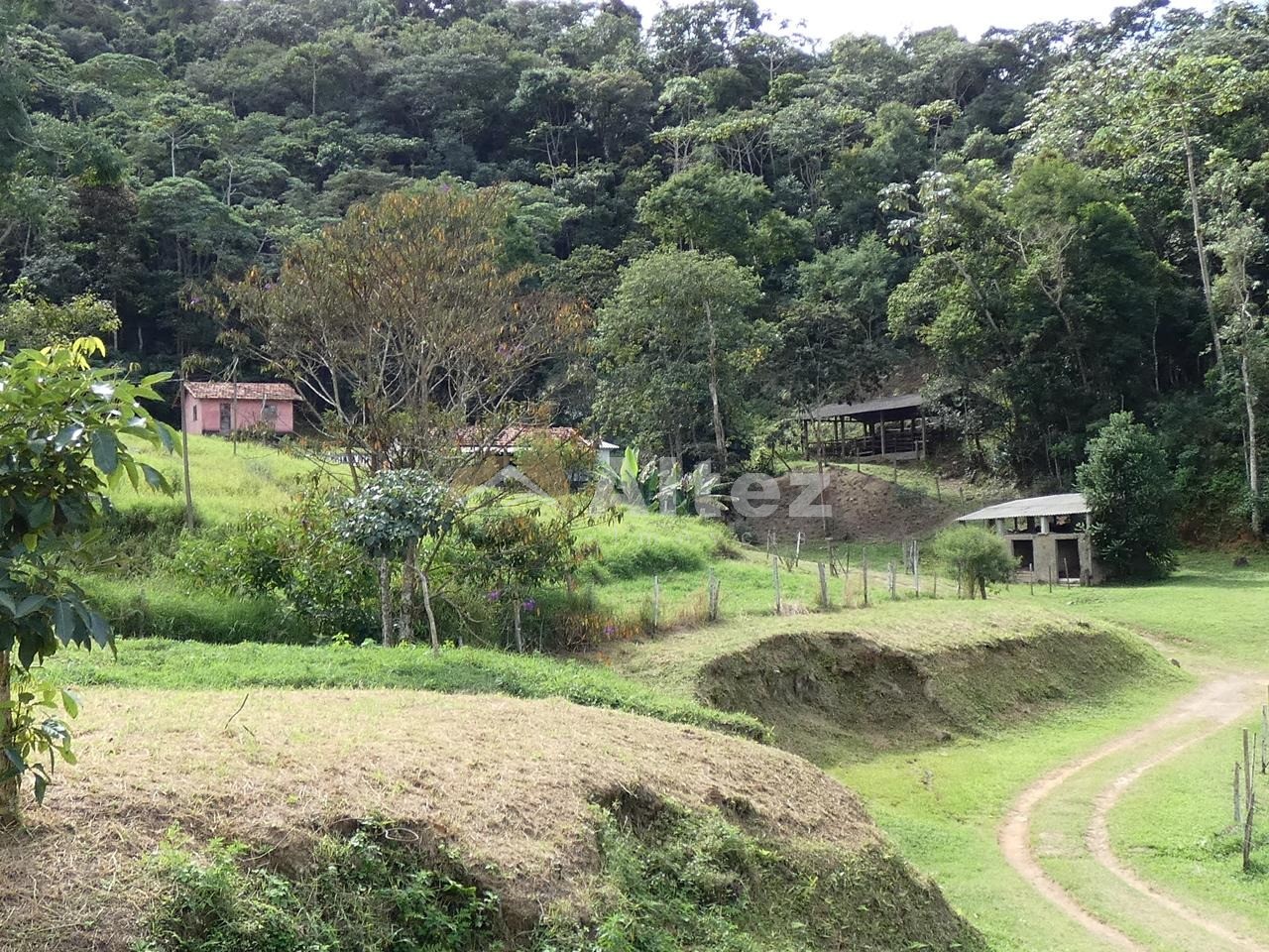 Sítio, 4 quartos, 28 hectares - Foto 82