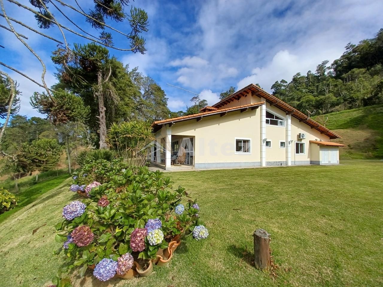 Sítio, 4 quartos, 28 hectares - Foto 3