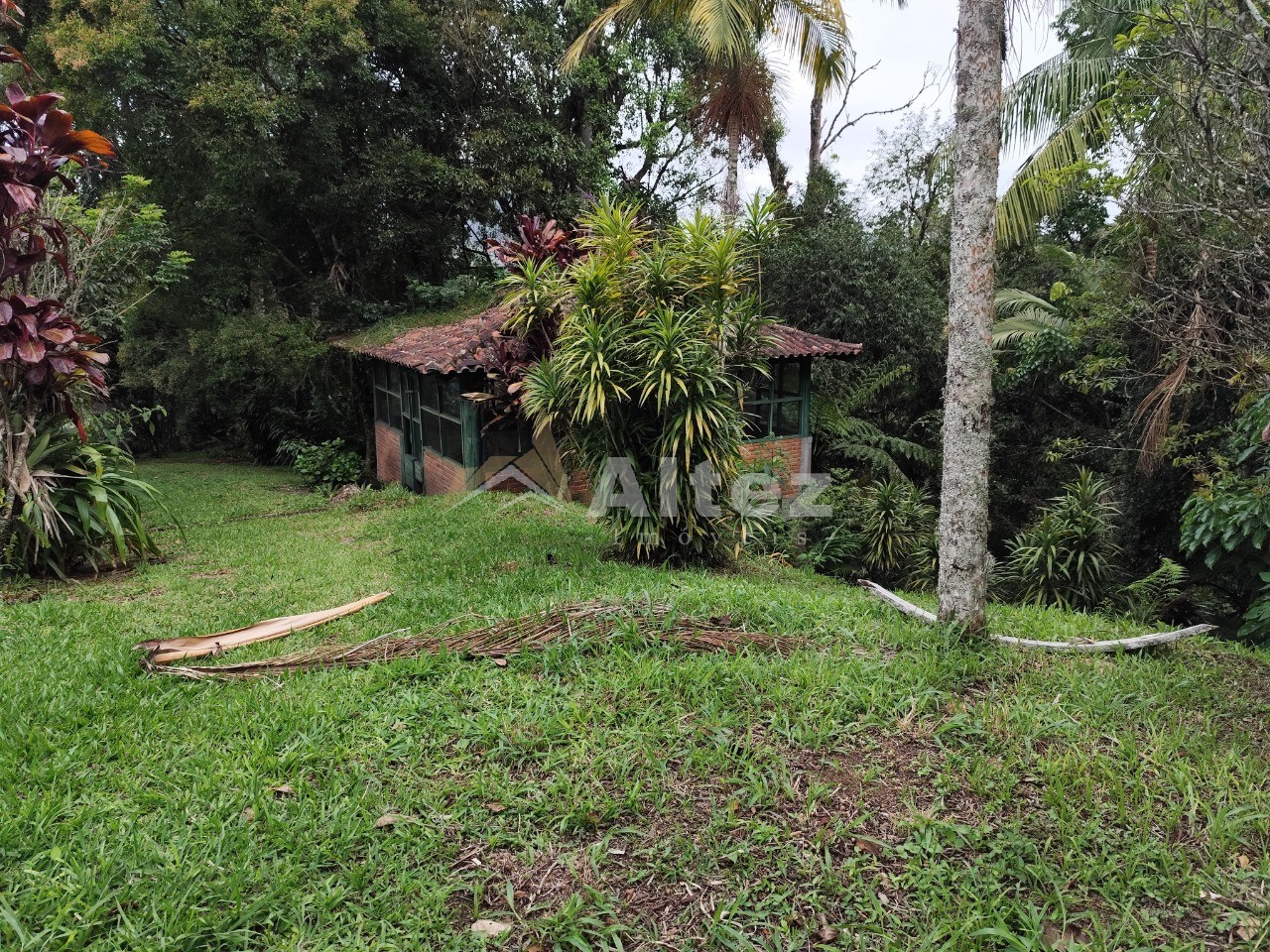 Casa, 7 quartos, 6000 m² - Foto 3