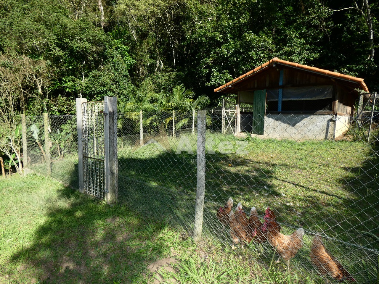 Sítio, 4 quartos, 12 hectares - Foto 67