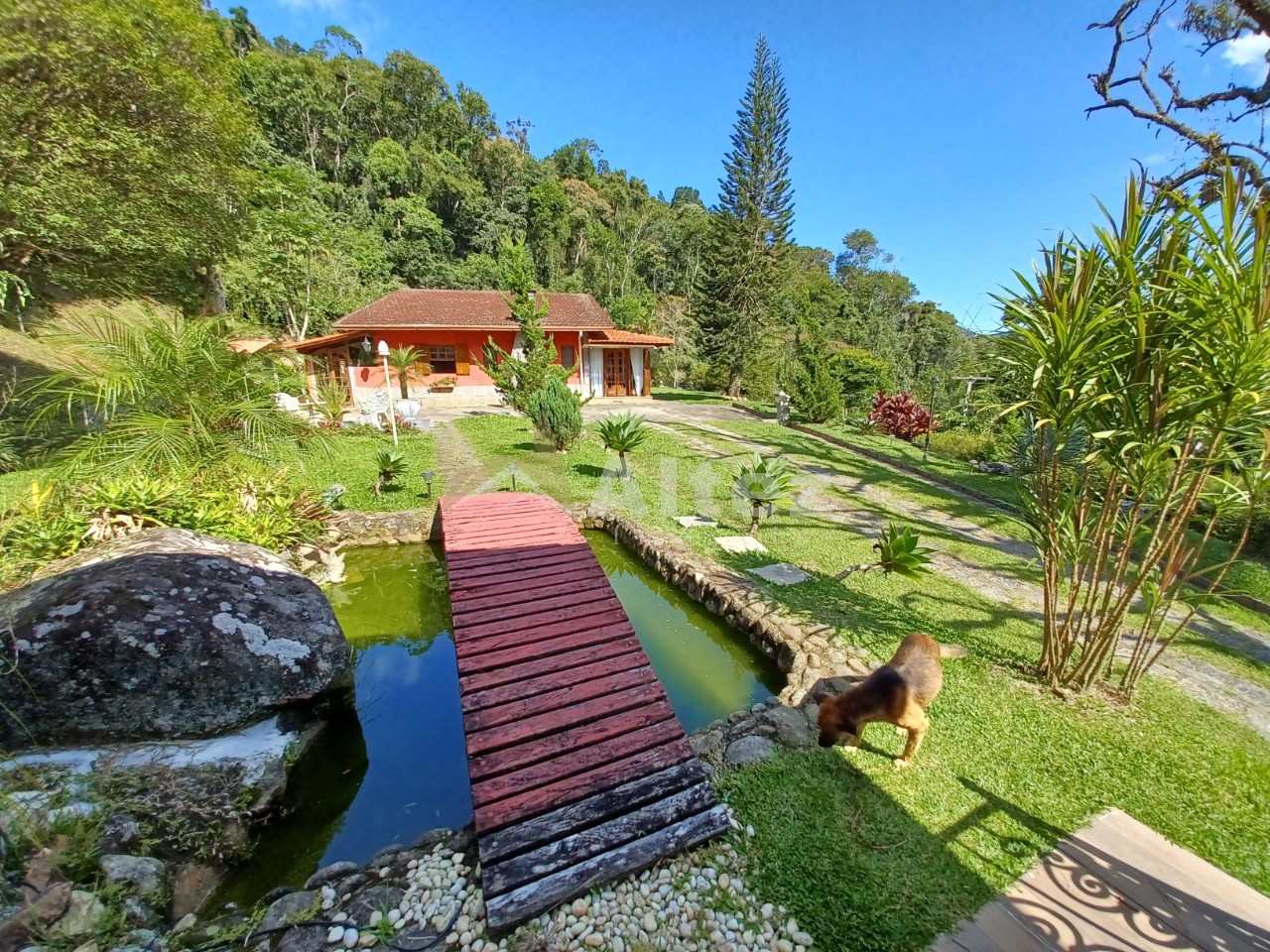 Casa, 4 quartos, 5455 m² - Foto 5