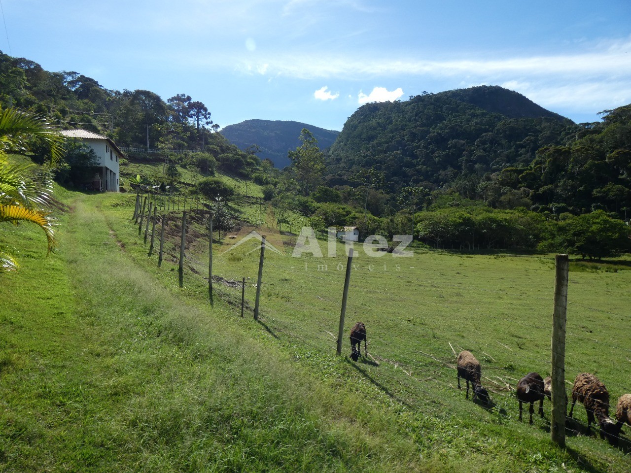 Sítio, 4 quartos, 12 hectares - Foto 40