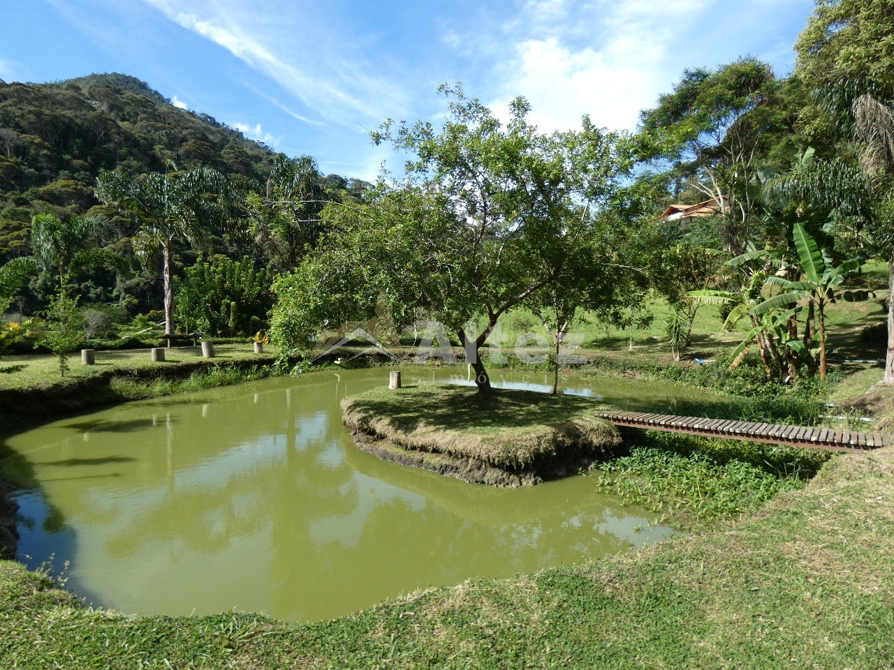 Sítio, 4 quartos, 12 hectares - Foto 43