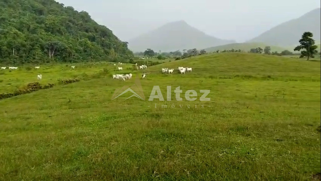 Fazenda, 566 hectares - Foto 4