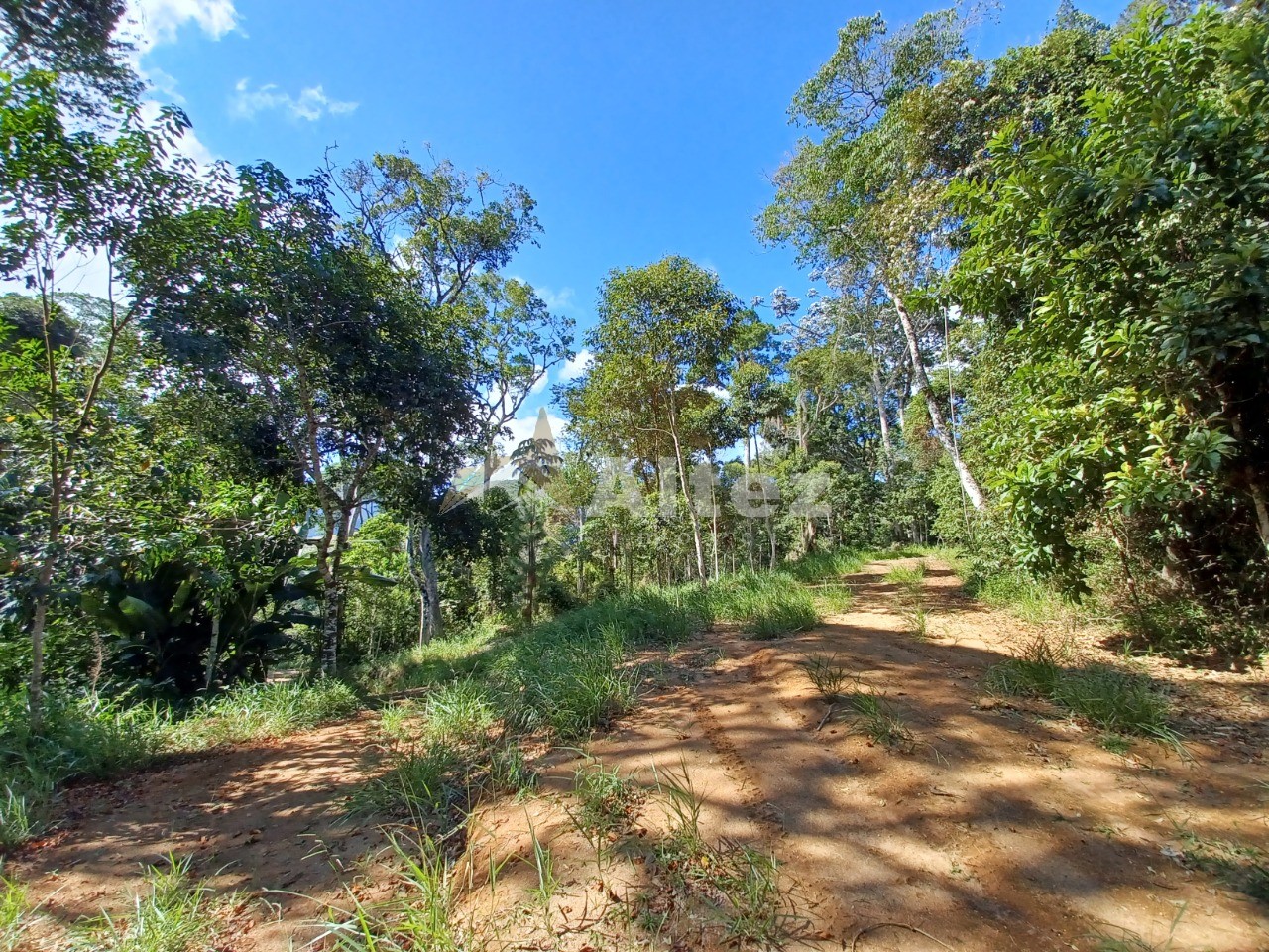 Terreno, 1 hectares - Foto 7