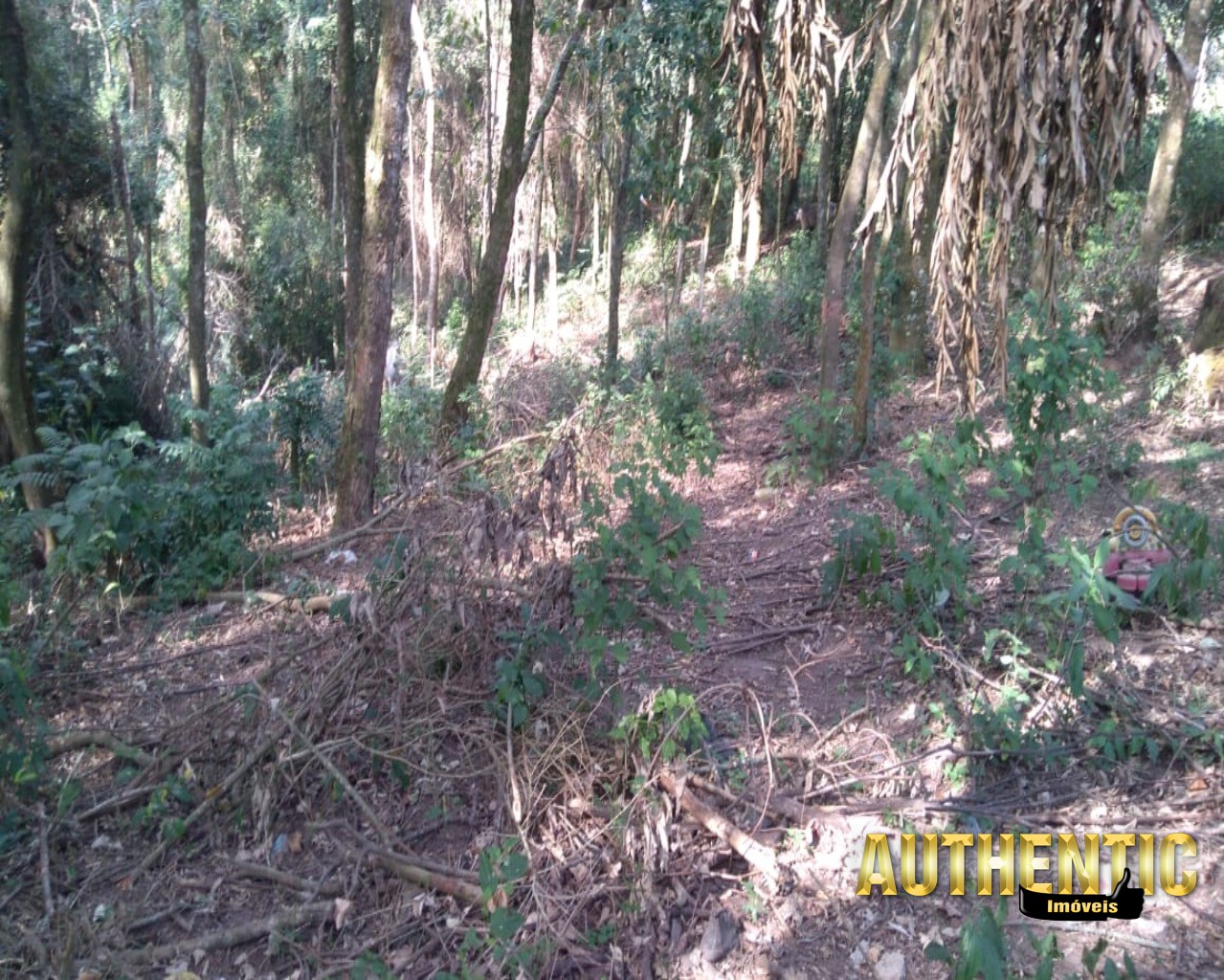 TERRENO RESIDENCIAL em Jundiaí - SP, Caxambu
