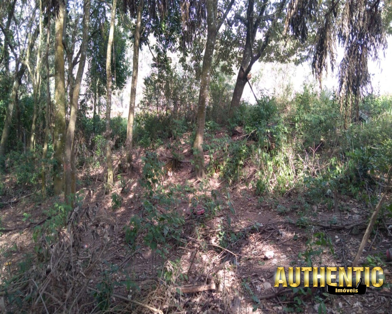 TERRENO RESIDENCIAL em Jundiaí - SP, Caxambu
