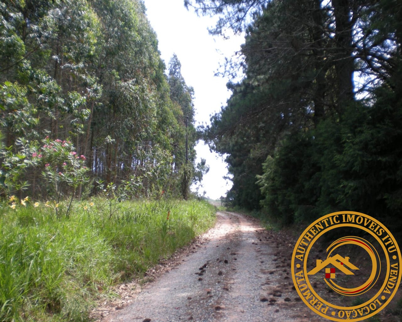 Sitio residencial em piedade - sp, piedade