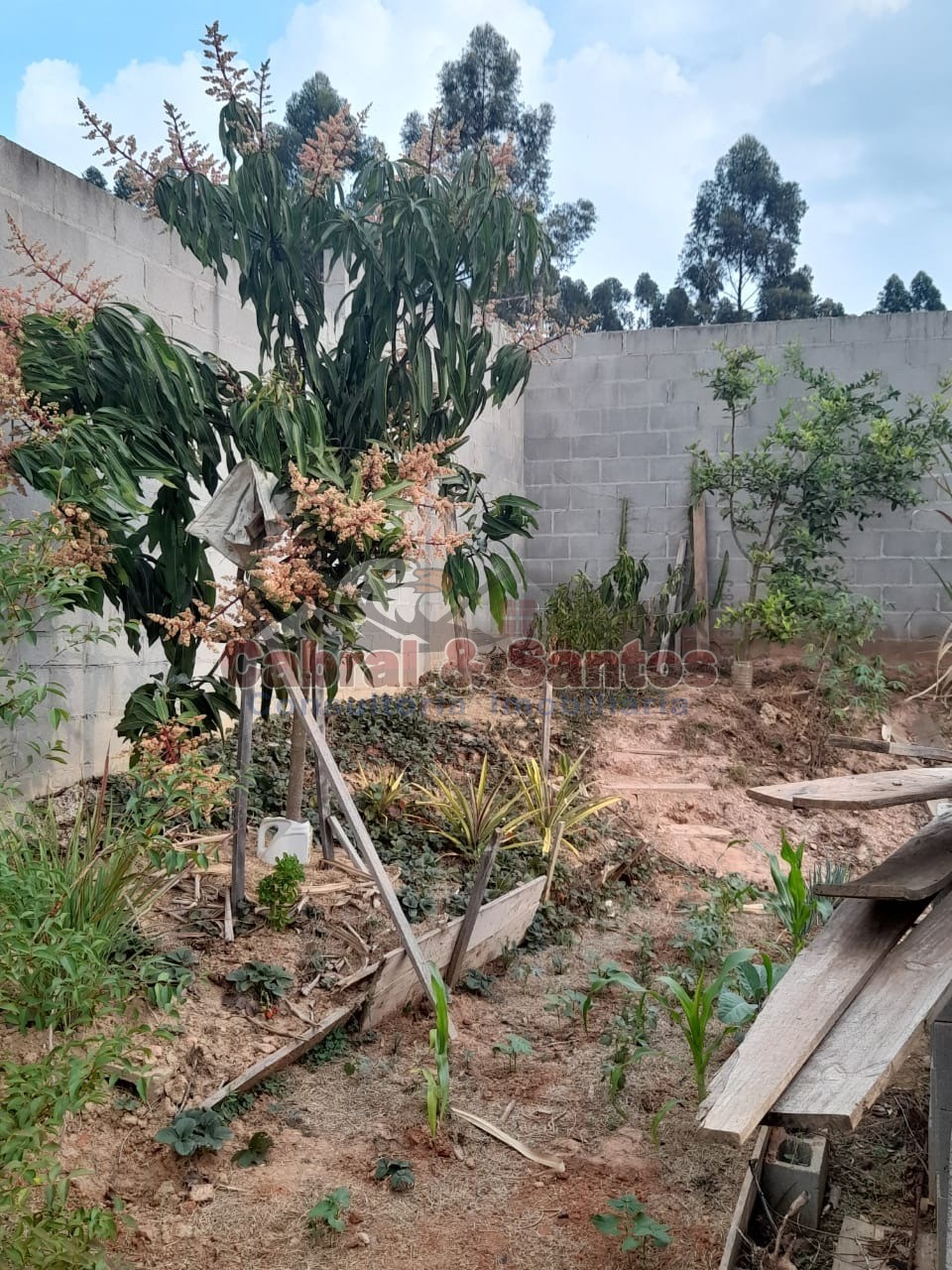 Terreno, 1068 m² - Foto 16