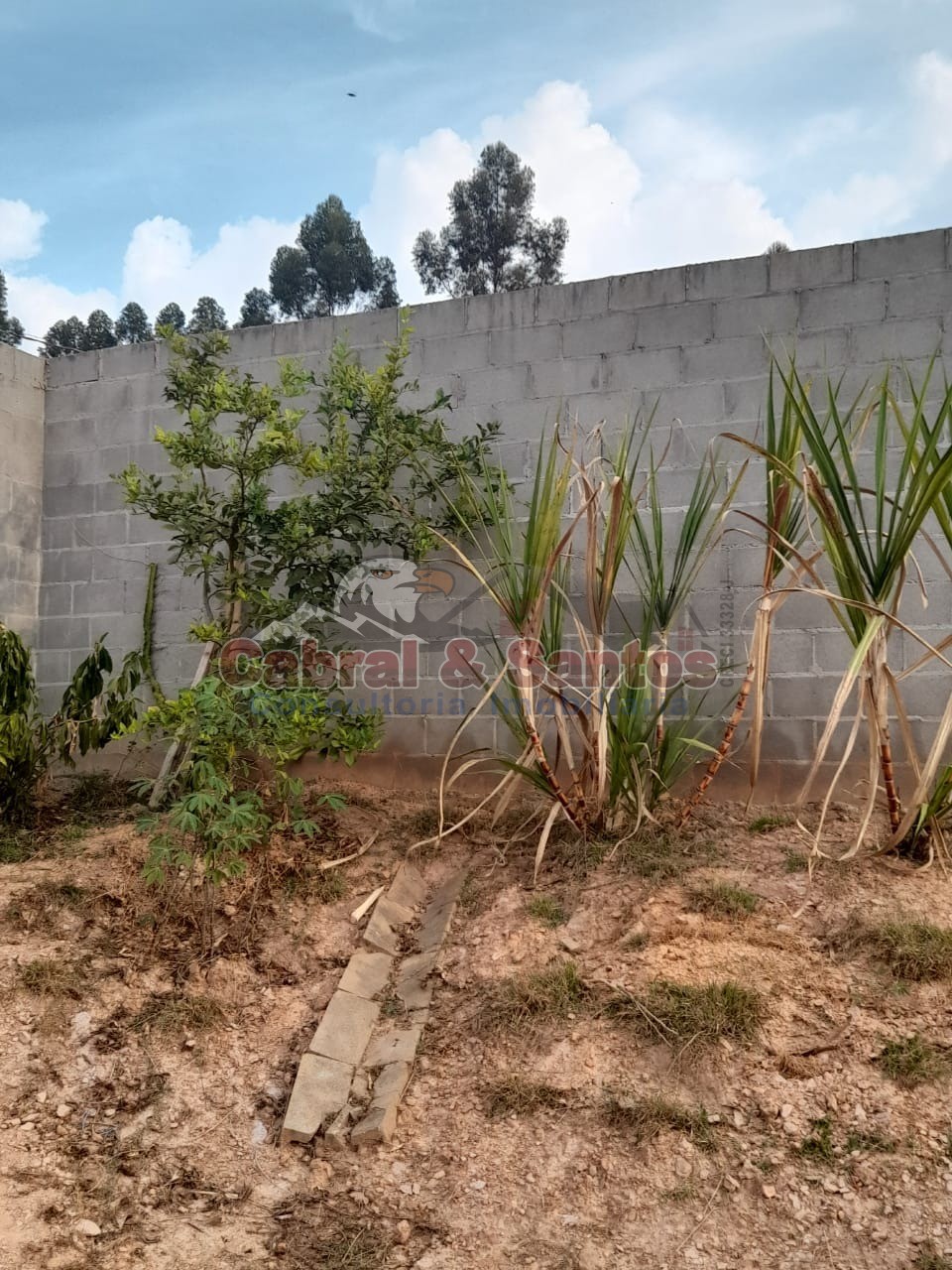 Terreno, 1068 m² - Foto 15