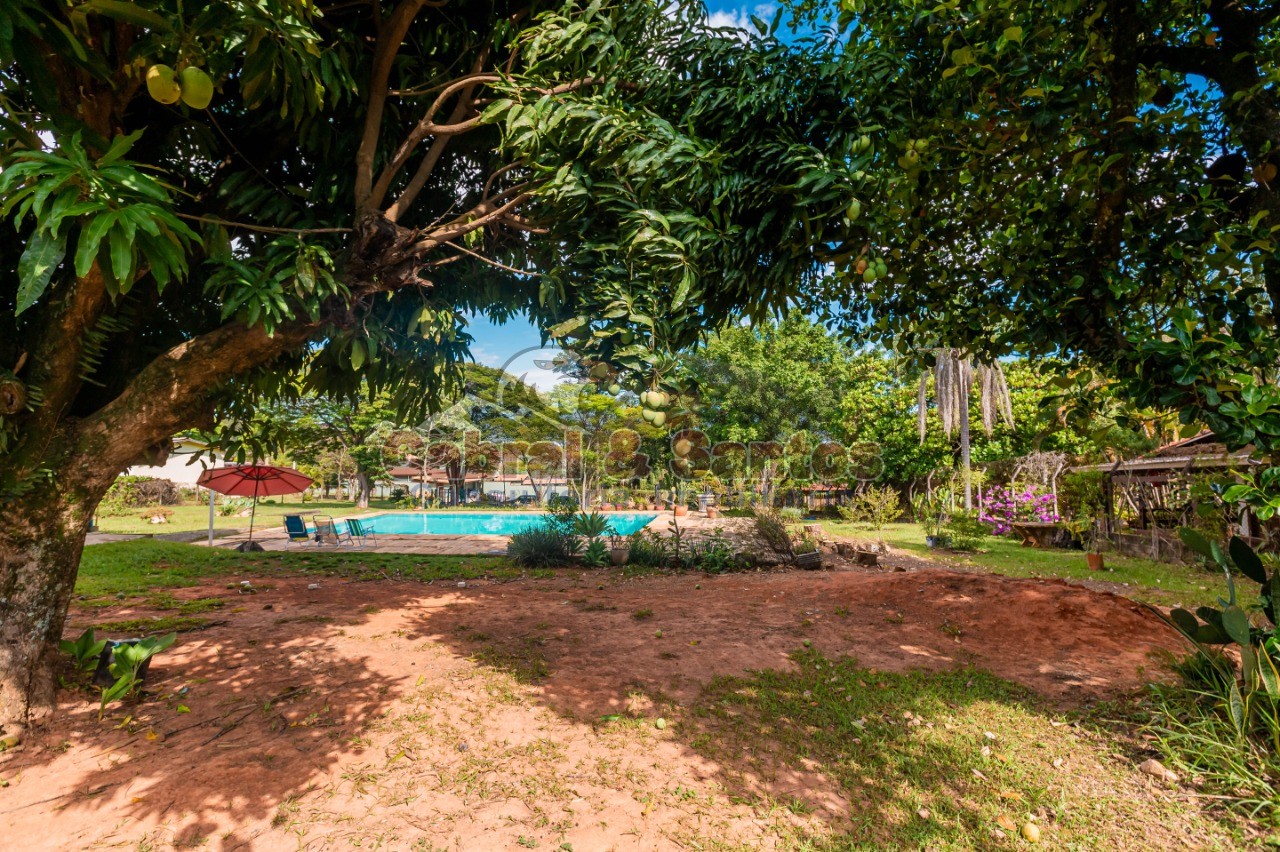 Chácara, 1 quarto, 2638 m² - Foto 14