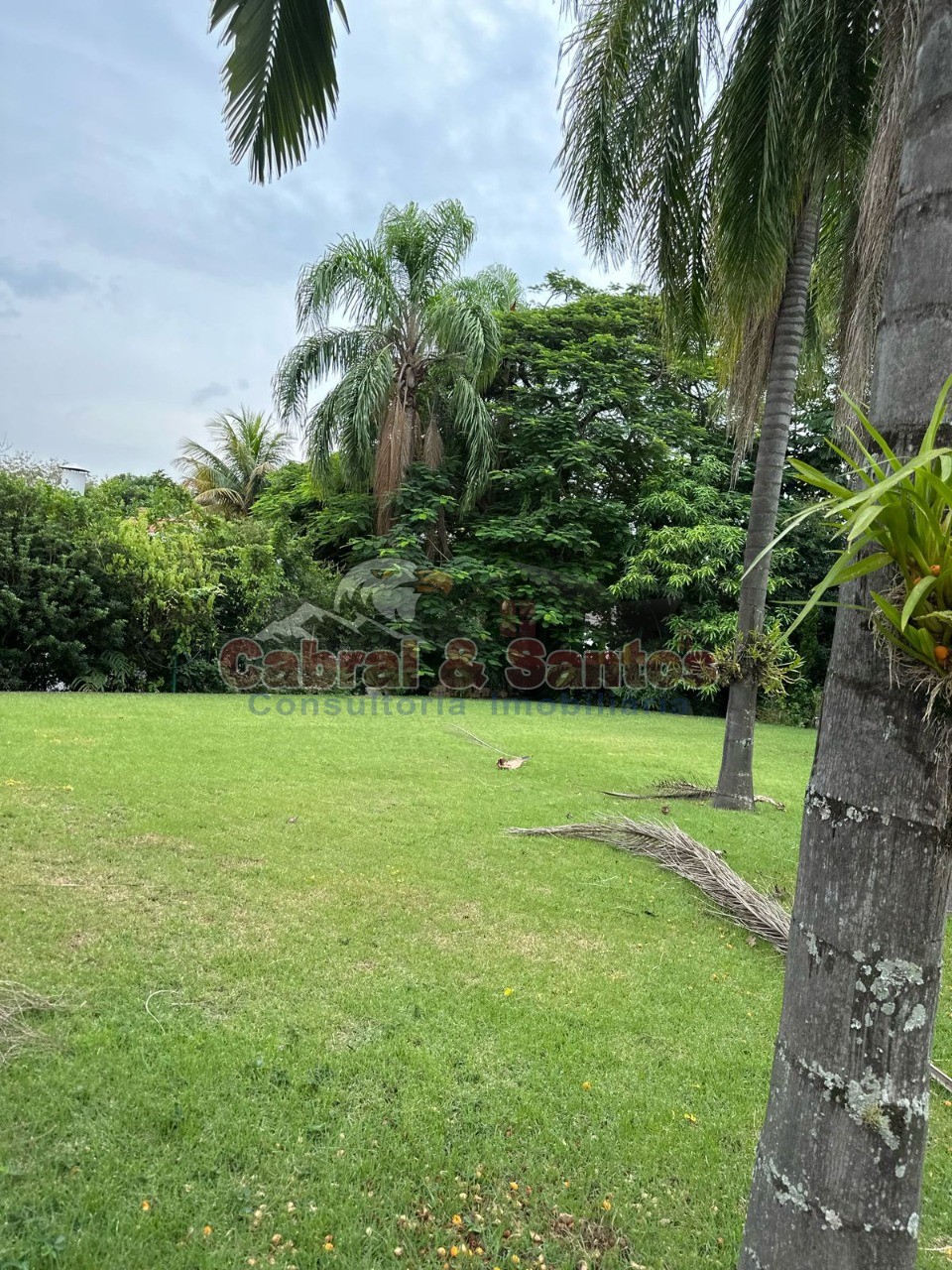 Casa, 5 quartos, 551 m² - Foto 33