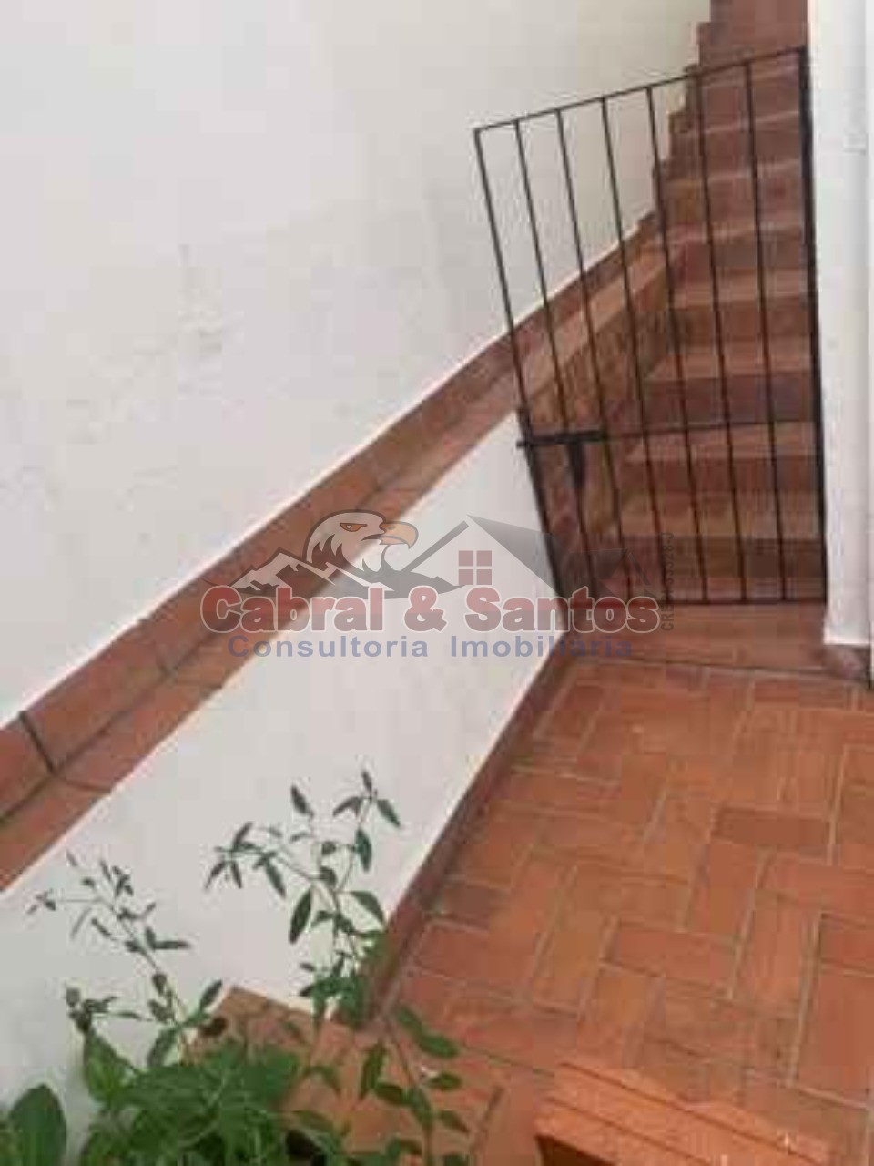 Casa, 3 quartos, 181 m² - Foto 31