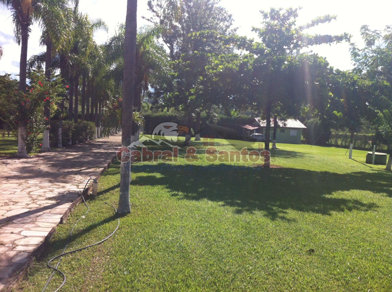 Chácara, 4 quartos, 1 hectares - Foto 4