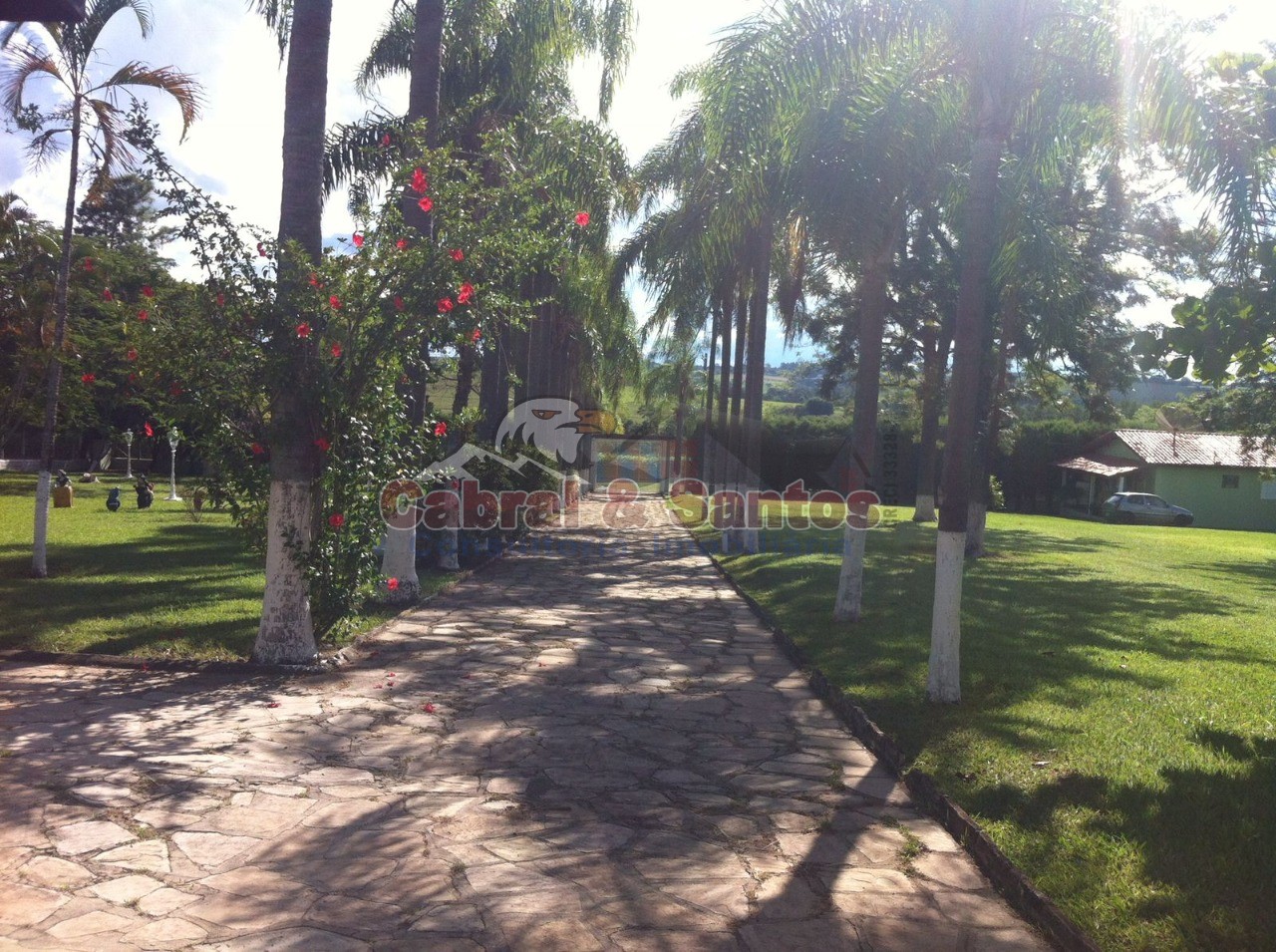 Chácara, 4 quartos, 1 hectares - Foto 3