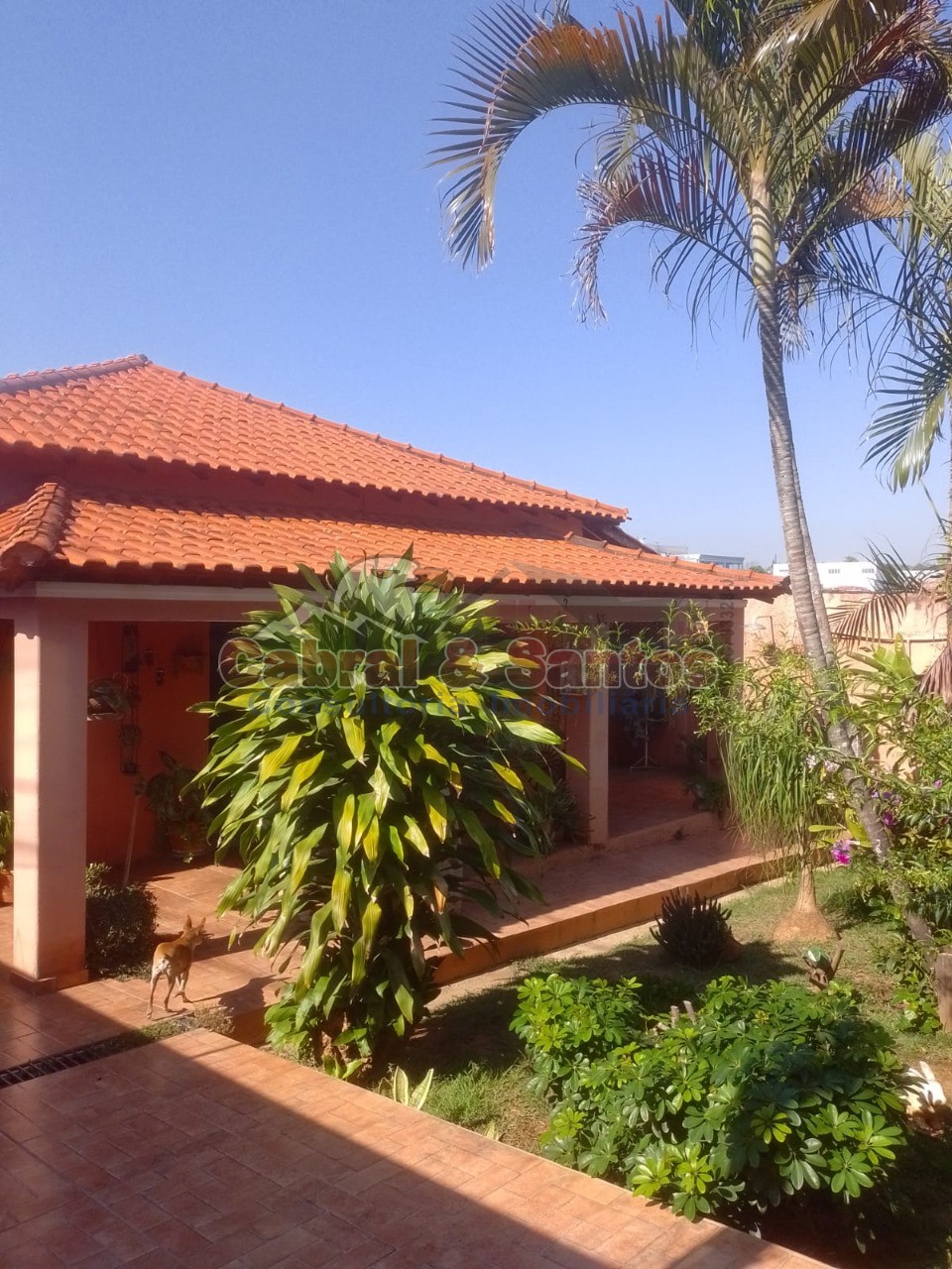 Casa, 3 quartos, 313 m² - Foto 44