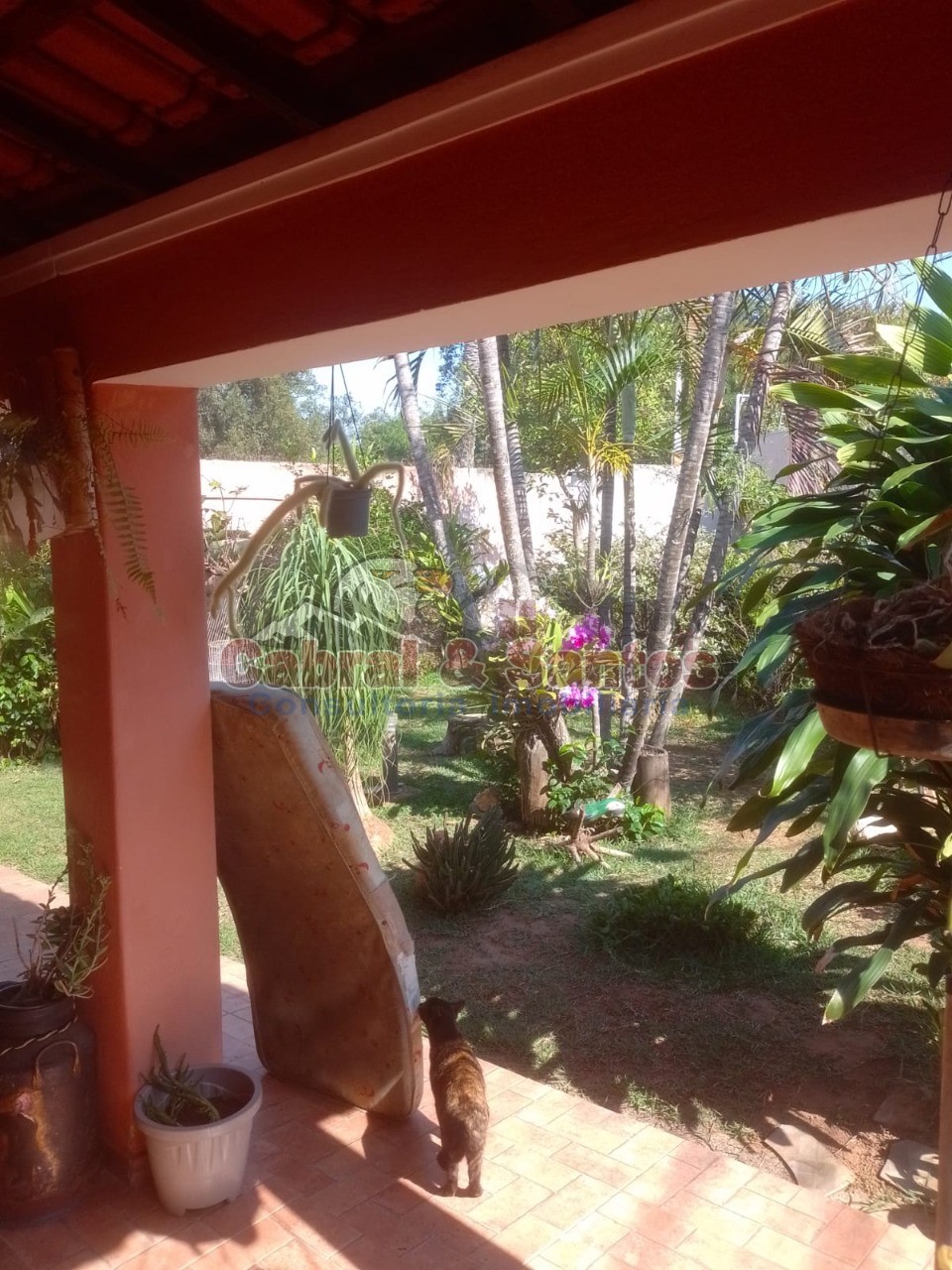 Casa, 3 quartos, 313 m² - Foto 41
