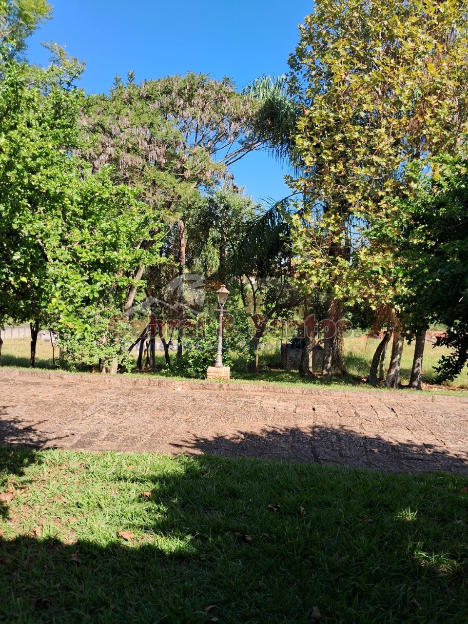 Chácara, 3 quartos, 4 hectares - Foto 43