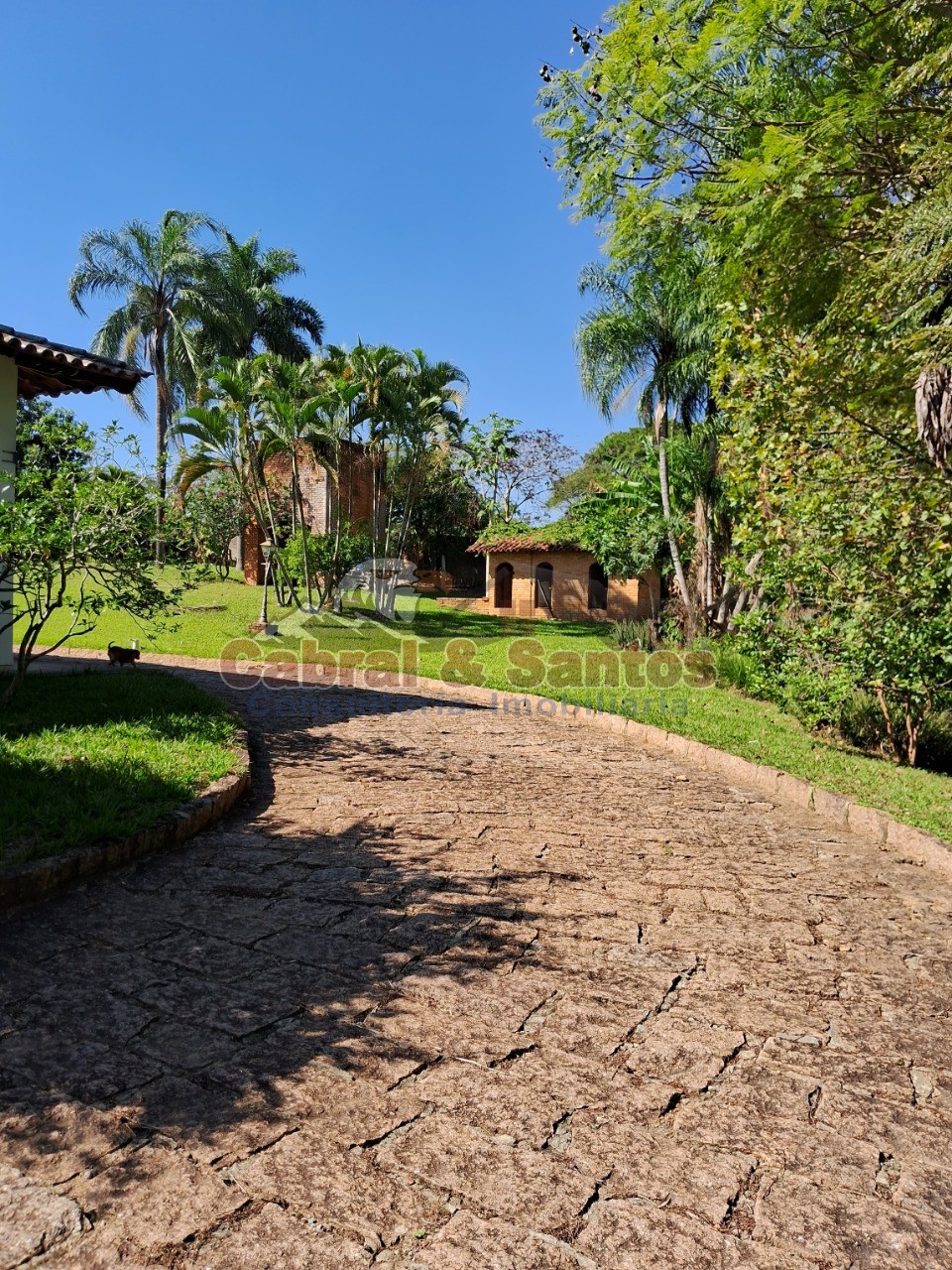 Chácara, 3 quartos, 4 hectares - Foto 46