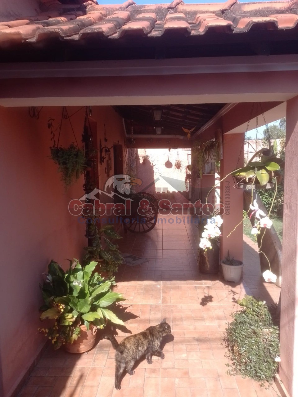 Casa, 3 quartos, 313 m² - Foto 42