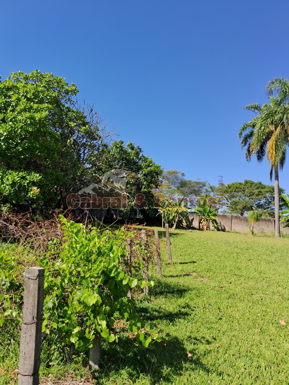 Chácara, 3 quartos, 4 hectares - Foto 62