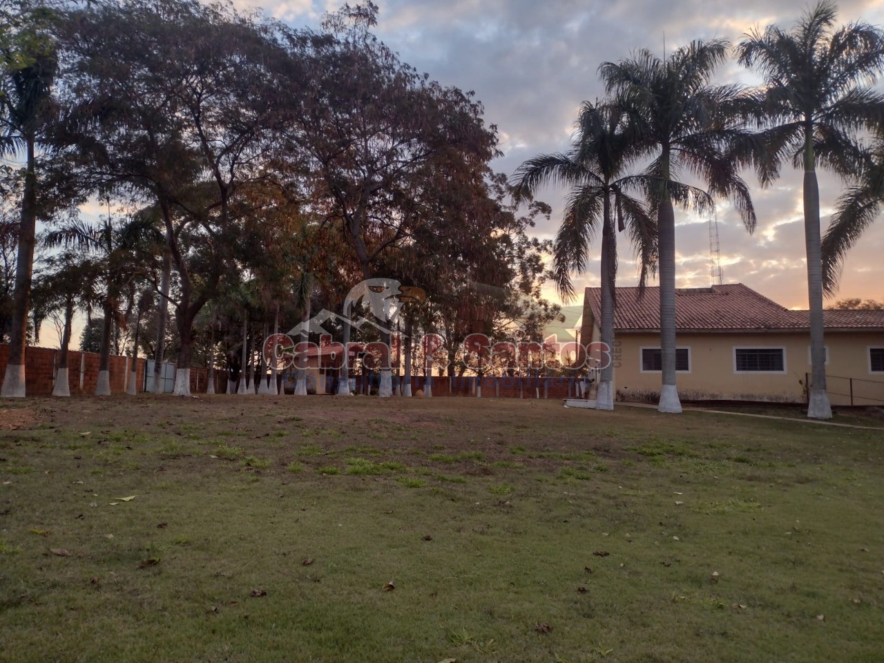 Chácara, 3 quartos, 1 hectares - Foto 10