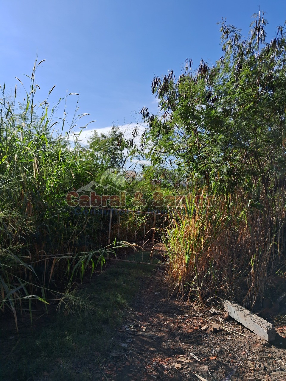 Terreno, 15 hectares - Foto 7