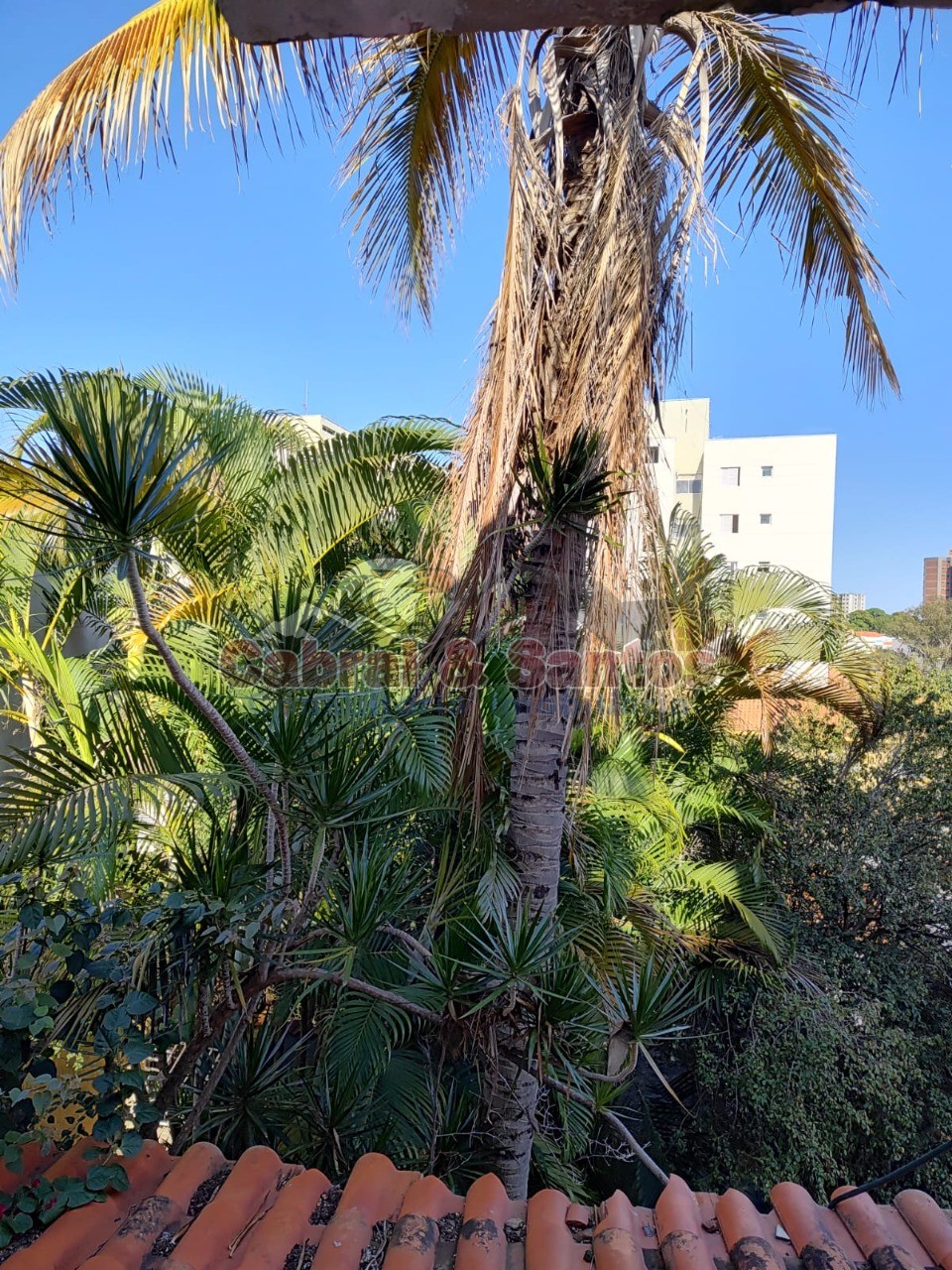 Casa, 4 quartos, 400 m² - Foto 24