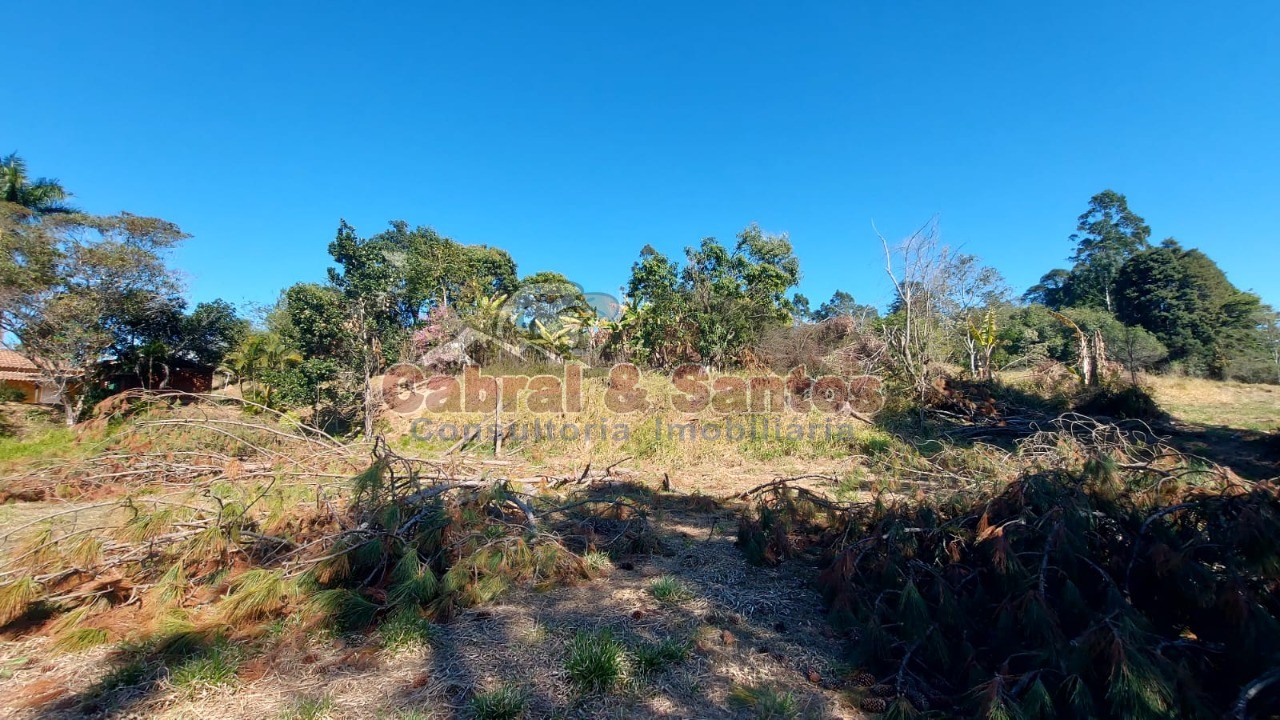 Chácara, 5 quartos, 2 hectares - Foto 32