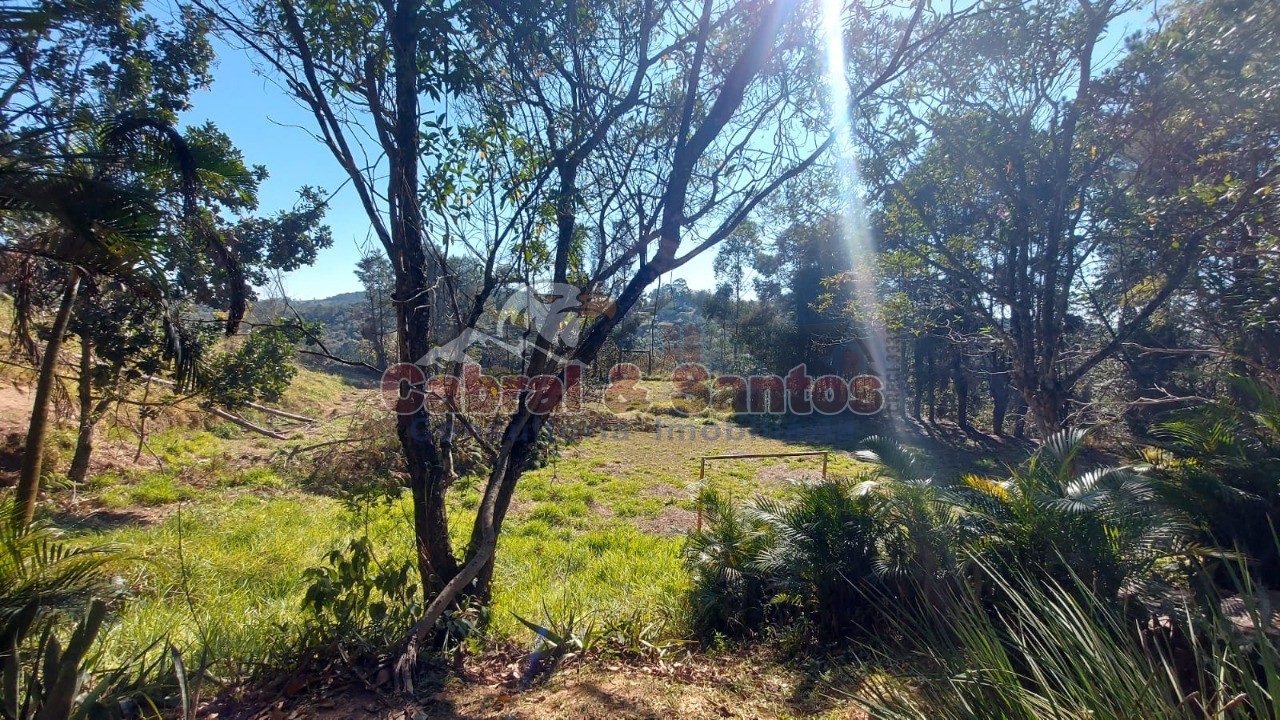 Chácara, 5 quartos, 2 hectares - Foto 35