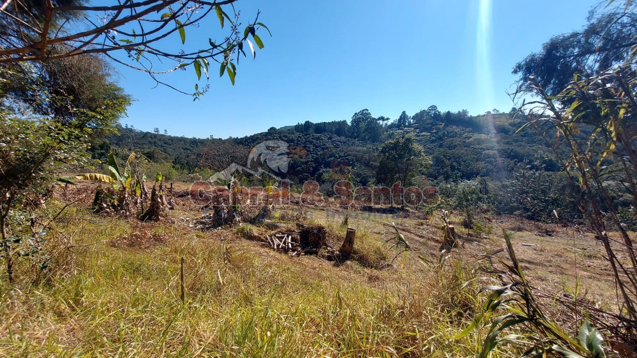 Chácara, 5 quartos, 2 hectares - Foto 33