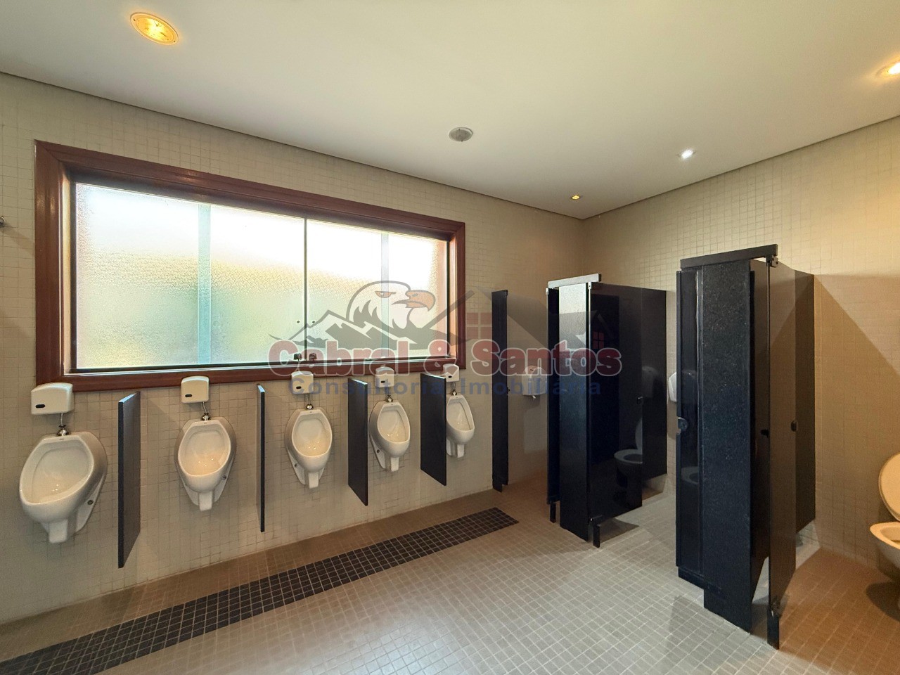 Chácara, 6 quartos, 5154 m² - Foto 21