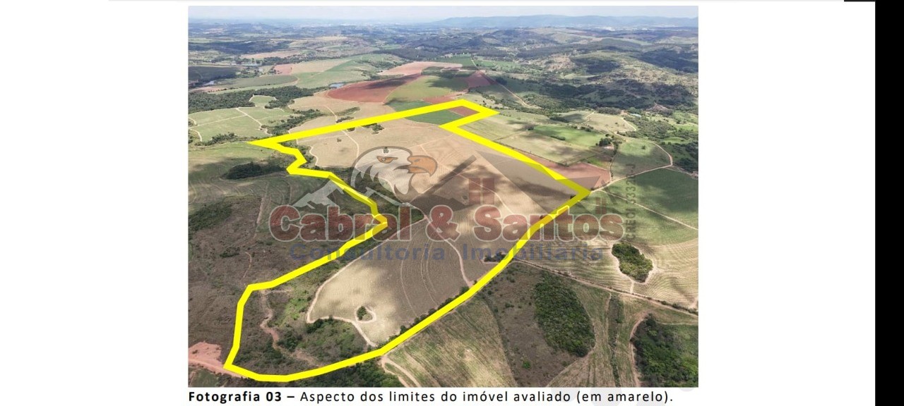 Fazenda, 78 hectares - Foto 8