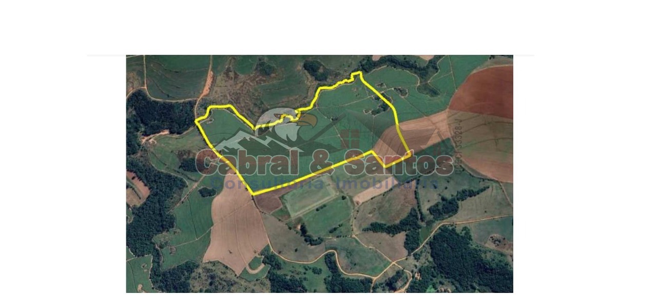 Fazenda, 78 hectares - Foto 9