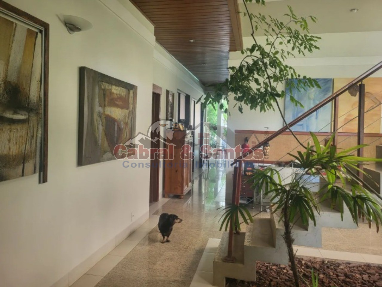 Casa, 4 quartos, 340 m² - Foto 7