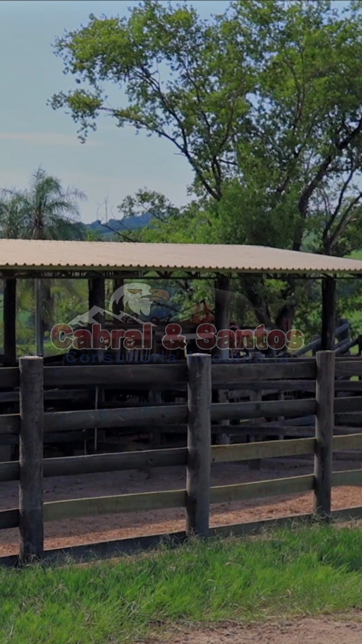 Fazenda, 97 hectares - Foto 5