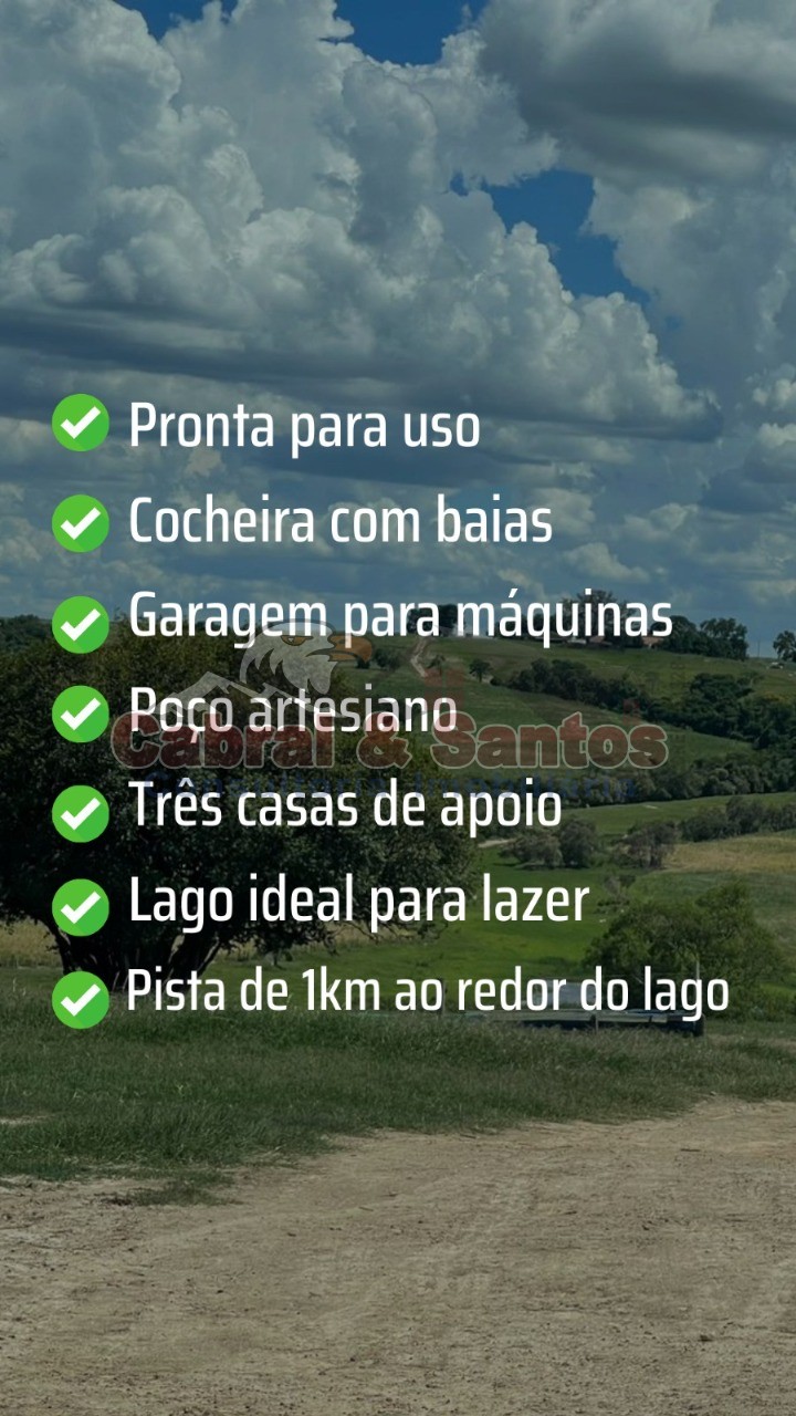Fazenda, 97 hectares - Foto 14