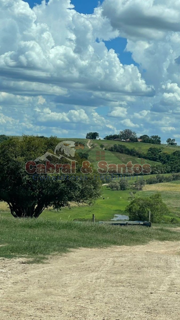 Fazenda, 97 hectares - Foto 11