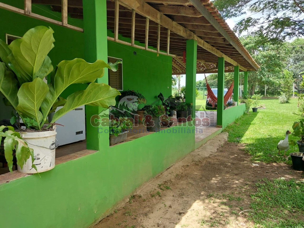 Chácara, 3 quartos, 6548 m² - Foto 5