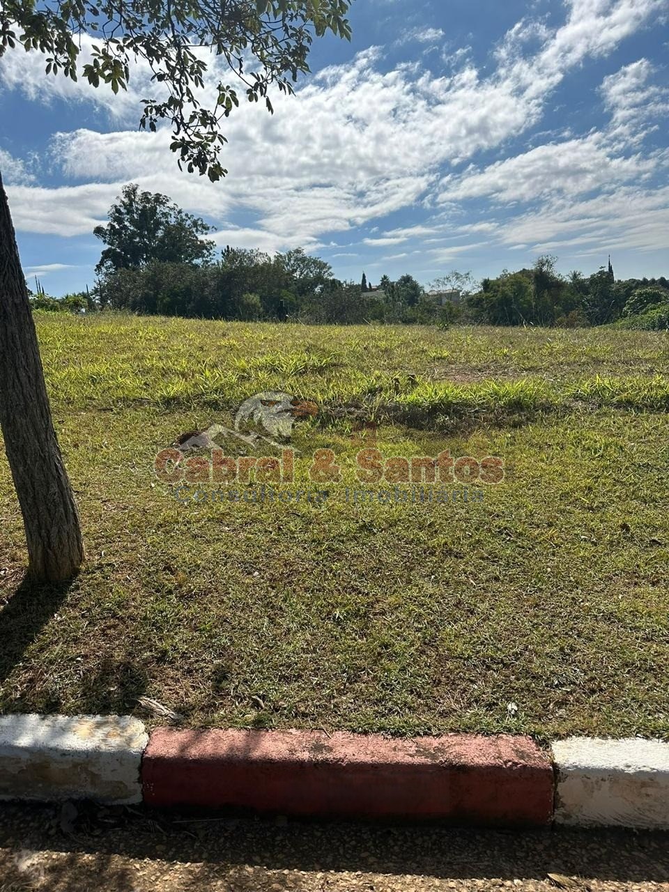 Terreno, 2750 m² - Foto 4
