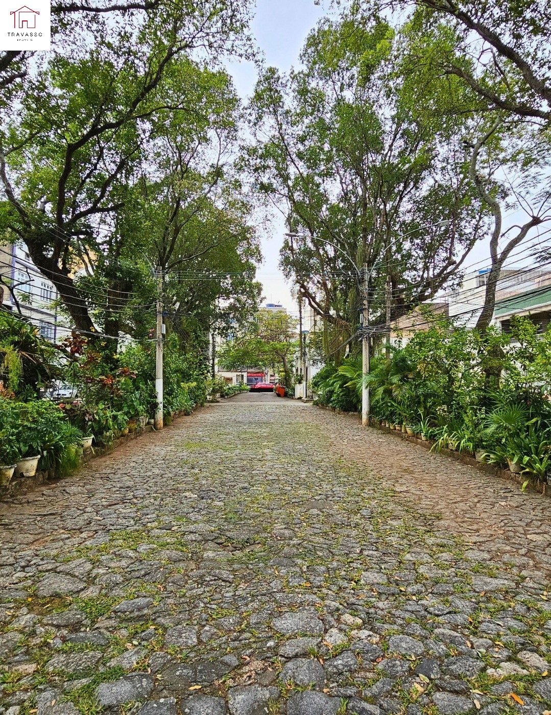 Casa, 5 quartos, 257 m² - Foto 48